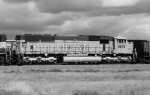 BNSF 9979 in consist wb 